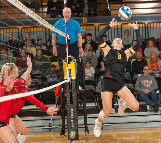 MTU’s Kreider earns GLIAC honor